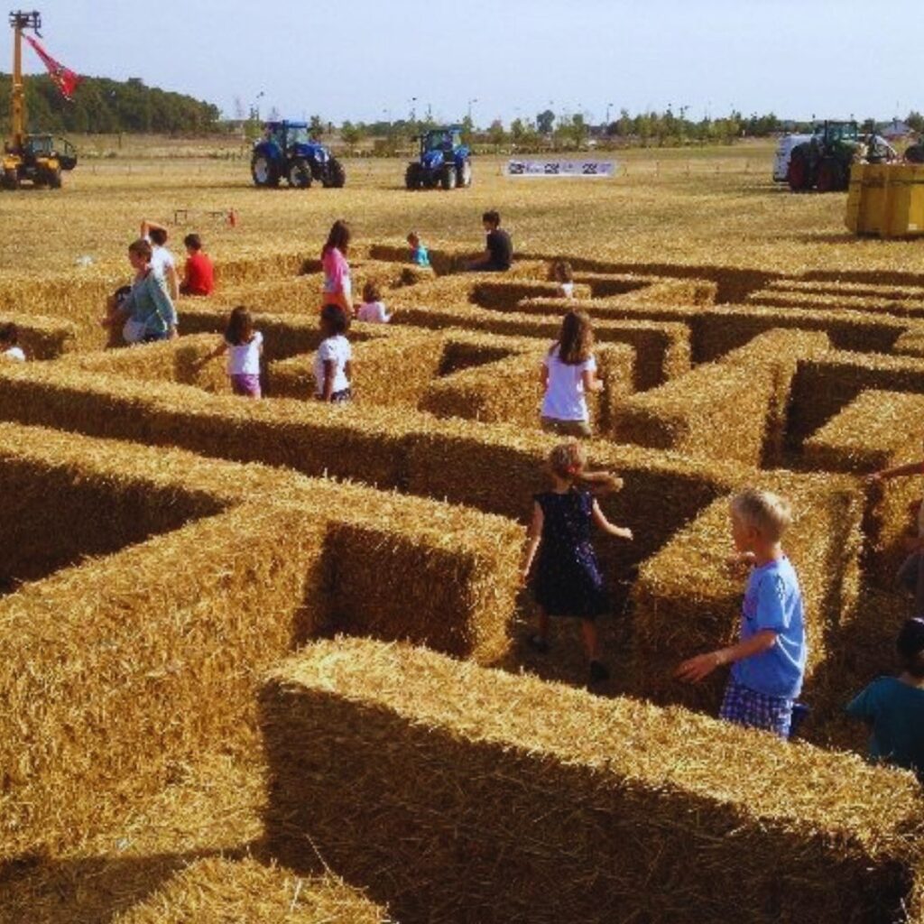 Buscar-verdadeira-identidade-como-andar-num-labirinto-sem-saída-cura-criança-ferida.