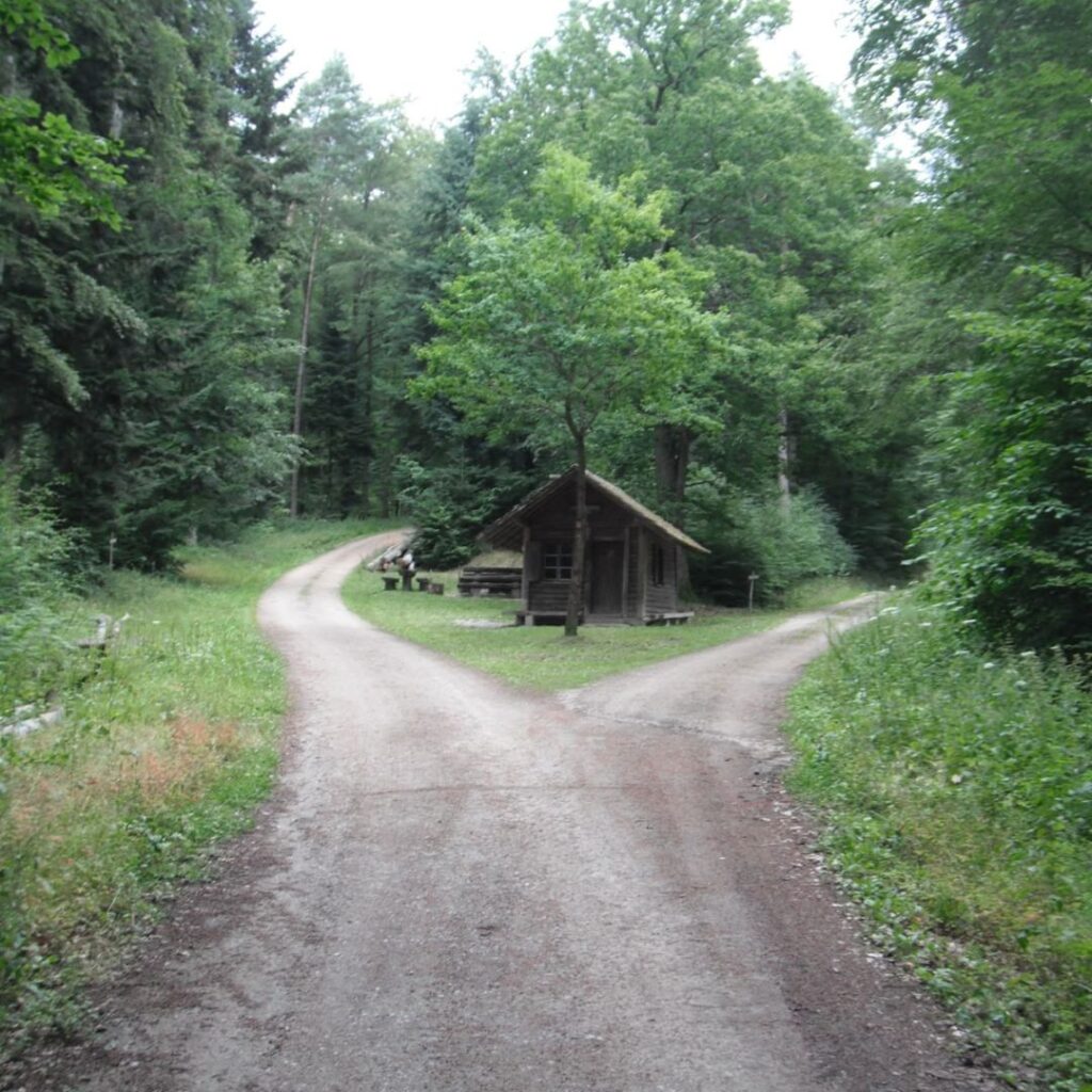 Separar-eu-atual-eu-desejado-nos-afasta-objetivos-transformação-cura-criança-interior-mudança-acolhida-aceitação-perdão-autocompaixão-ressignificação-mudança-coração-fé-oração