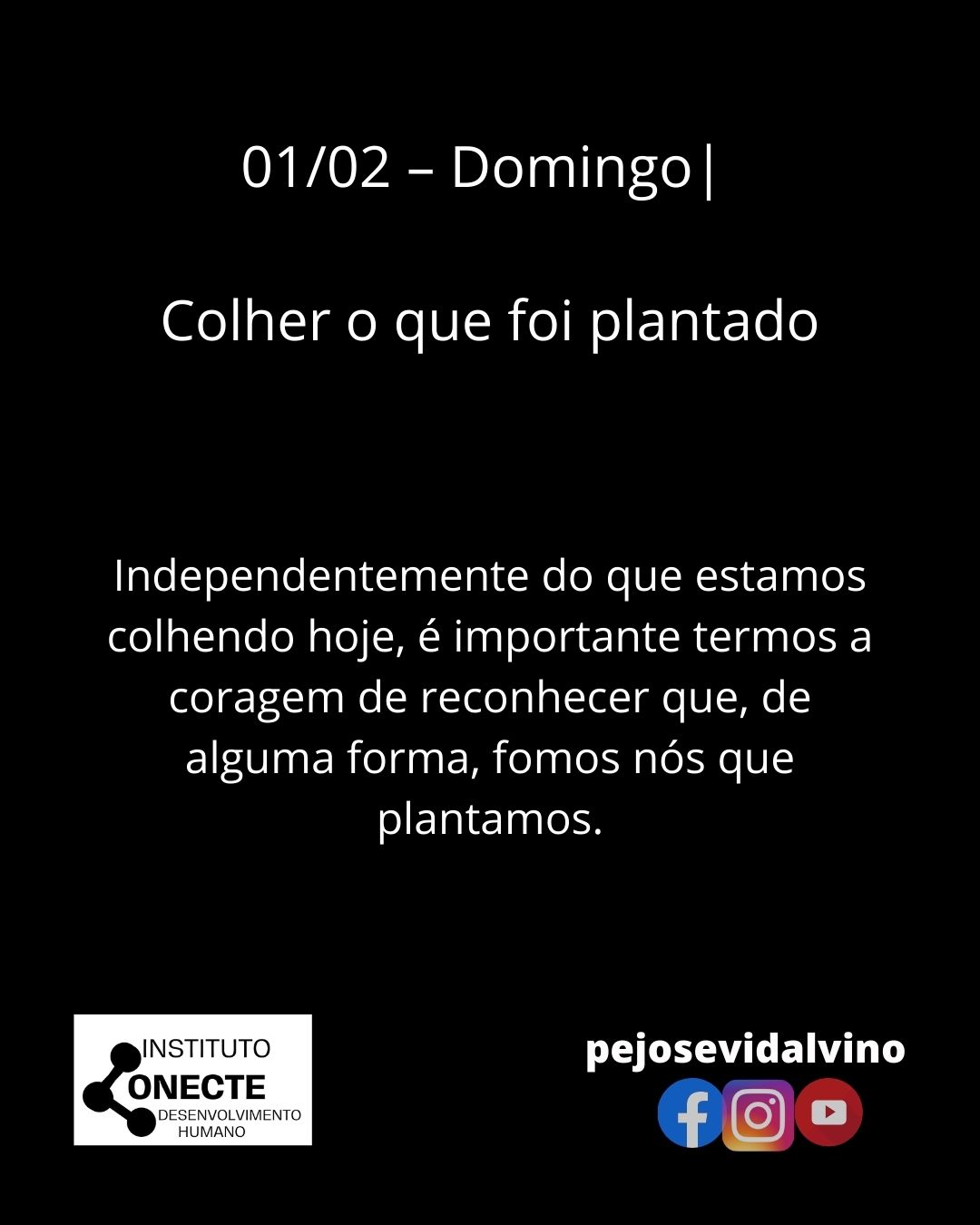 Colher o Que Foi Plantado: Uma Reflexão Sobre Responsabilidade, Consciência e Aprendizado