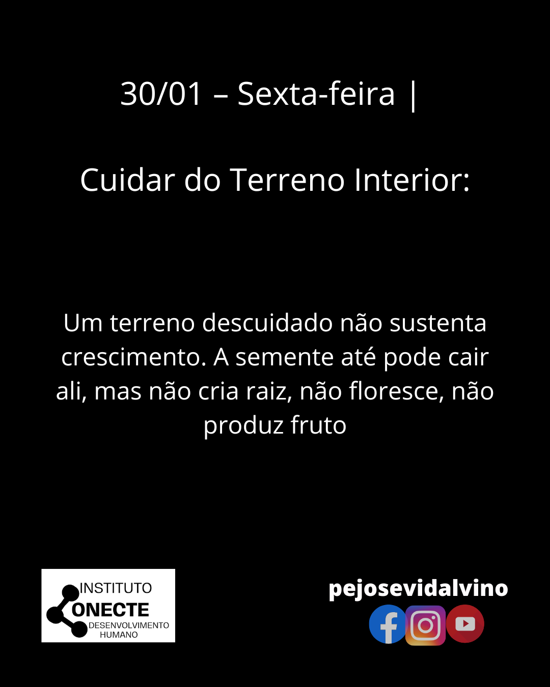 Cuidar do Terreno Interior: Uma Reflexão Sobre o Que Sustenta Nossa Vida