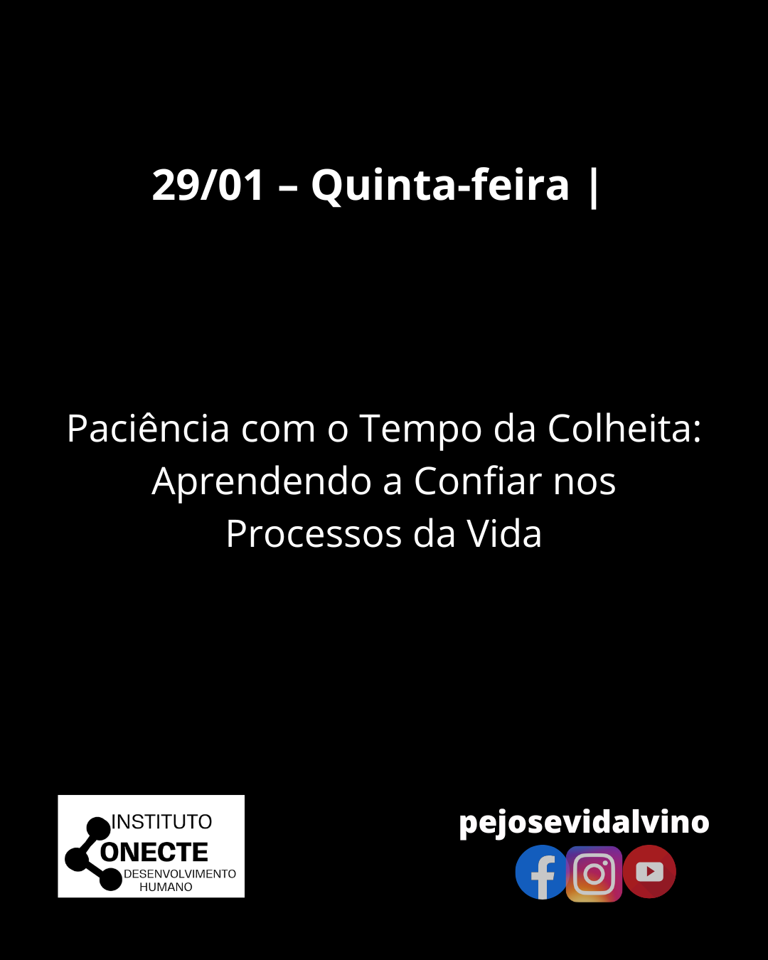 Paciência com o Tempo da Colheita: Aprendendo a Confiar nos Processos da Vida
