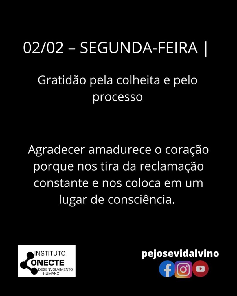 Gratidão Pela Colheita e Pelo Processo: Um Caminho de Amadurecimento Interior